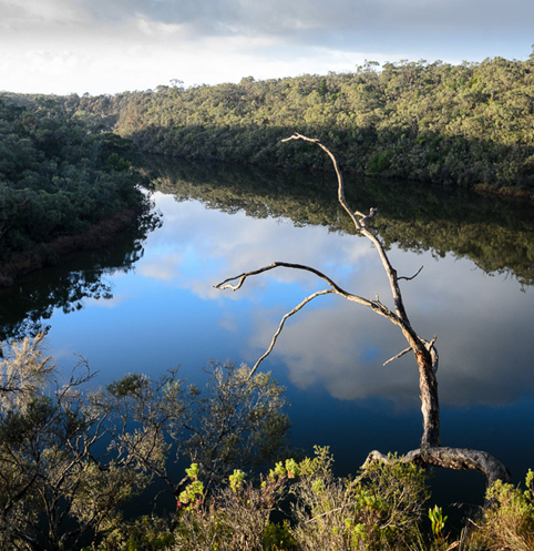 Casuarina-Boat-hire-Nelson-Victoria_Glenelg River